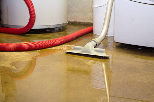 Best Flood damage cleanup  in Bethlehem, PA