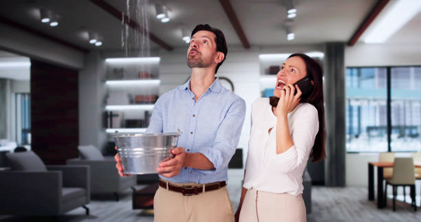 Best Carpet water damage restoration  in Bethlehem, PA